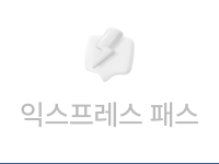 익스프레스 패스