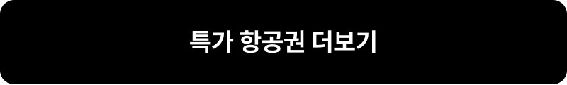 특가 항공 더보기