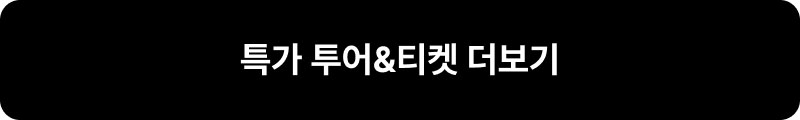 특가 투어&티켓 더보기