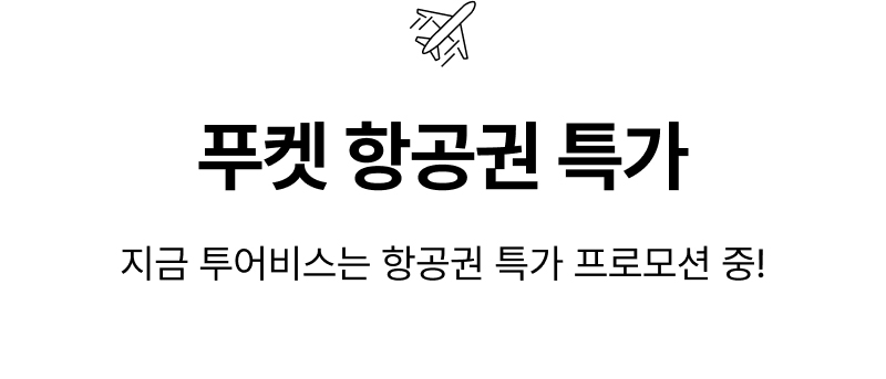 항공 특가