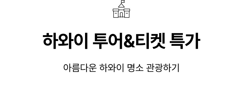  특가