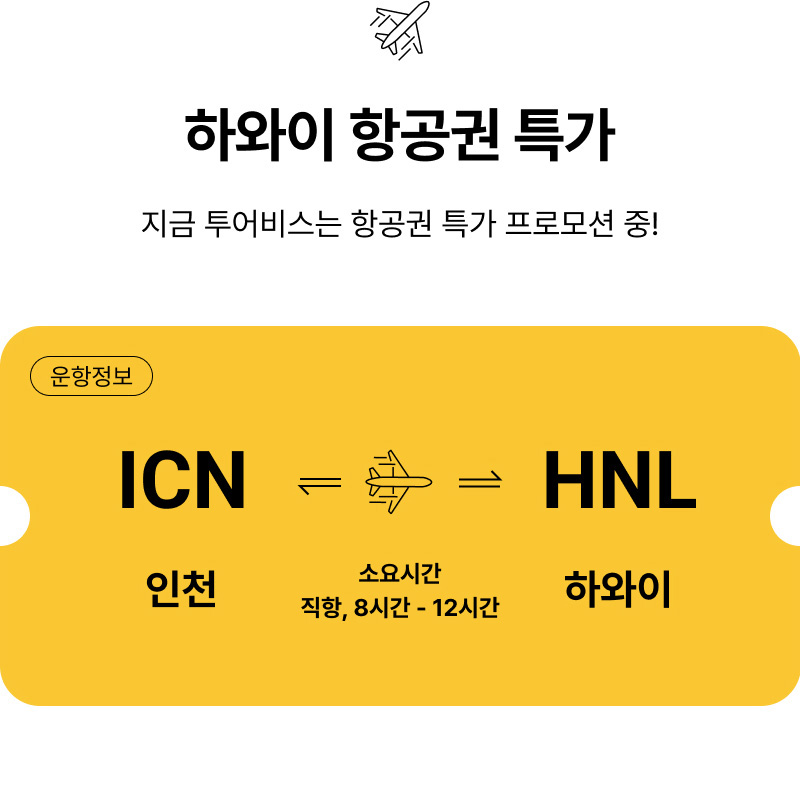 항공 특가
