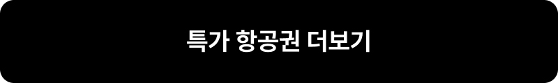 특가 항공 더보기