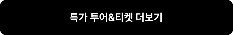 특가 호텔 더보기
