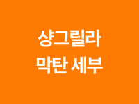액티비티