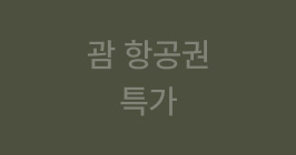 괌 항공권 특가