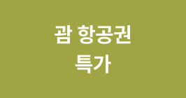 괌 항공권 특가