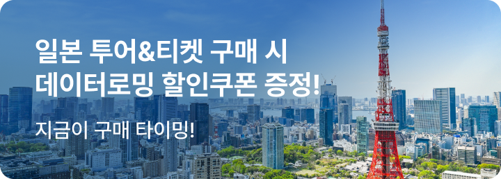 일본 데이터로밍